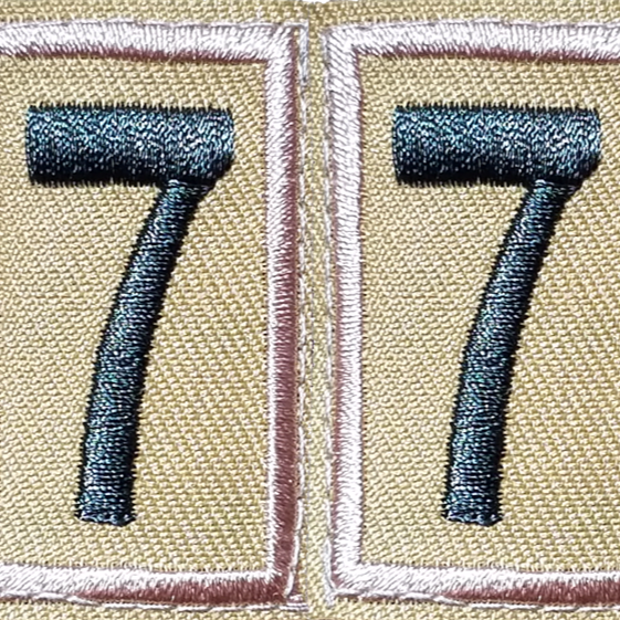 Troop 77