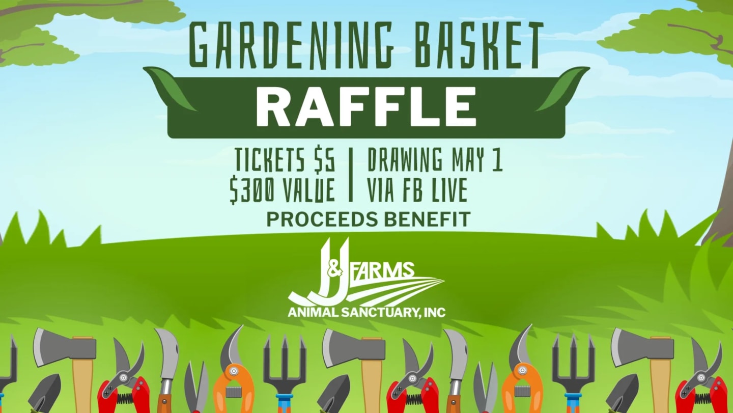 🌱 Gardening Raffle Basket 🌱