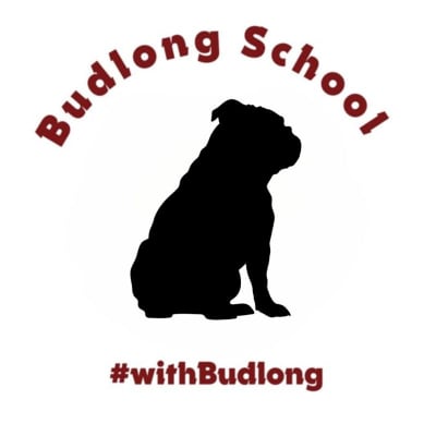 Friends Of Budlong Elementary