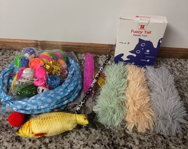 Kitten Love Basket