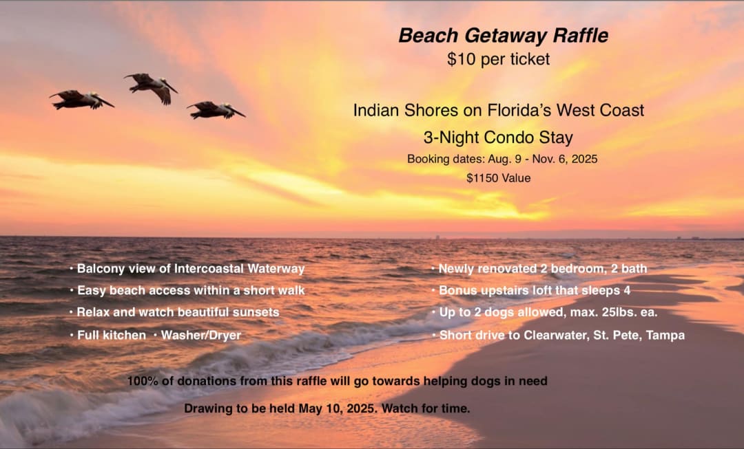 Seaside Raffle Beach Getaway Raffle