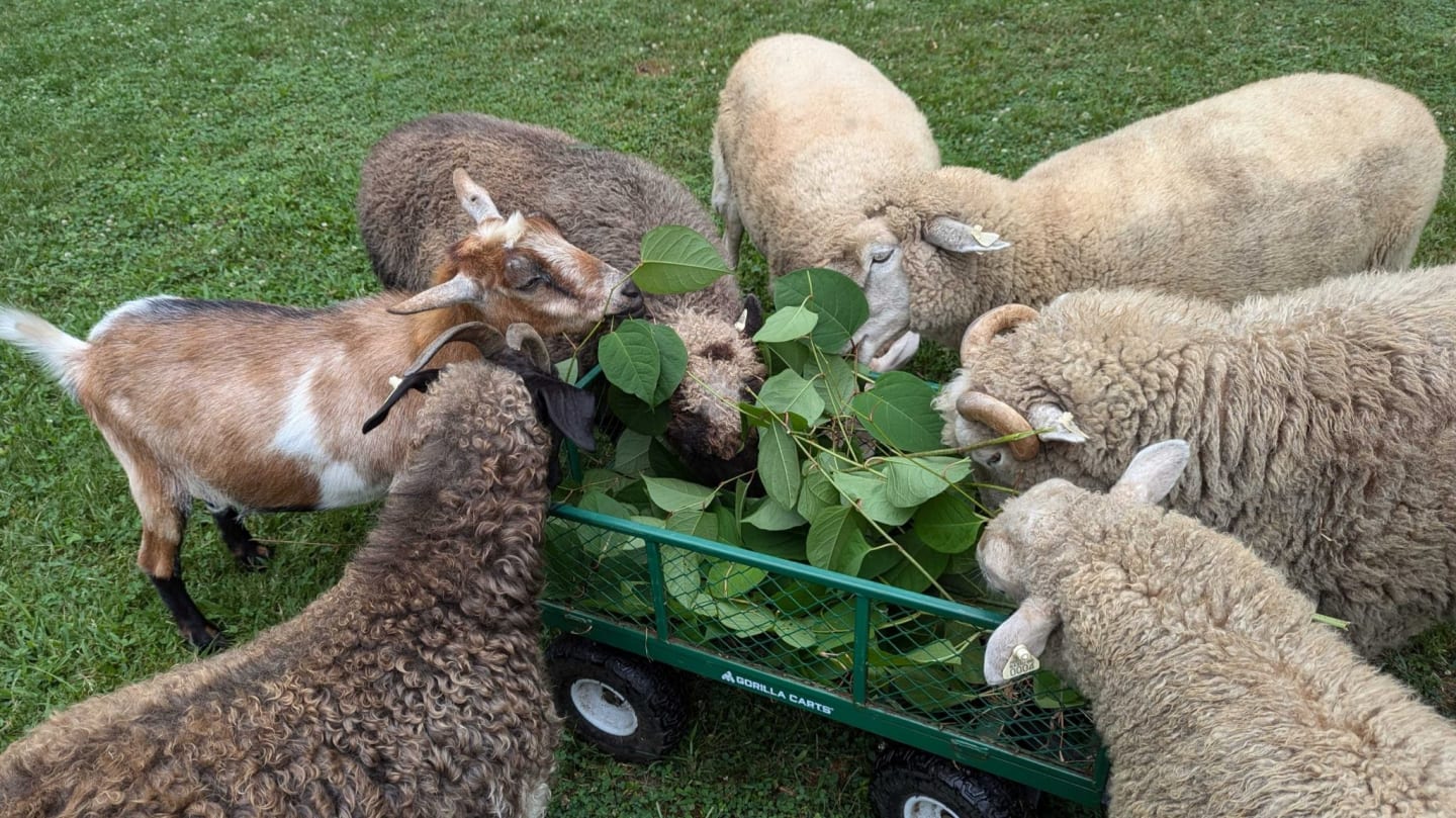 From Farm to School Series