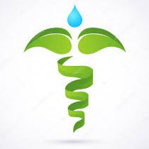 Trilogy Medical Foundation