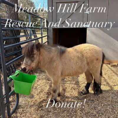 Meadow Hill Farm Rescue And Sanctuary