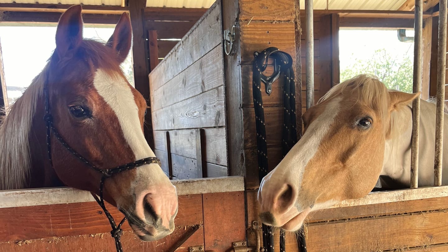 May Monthly Workshop