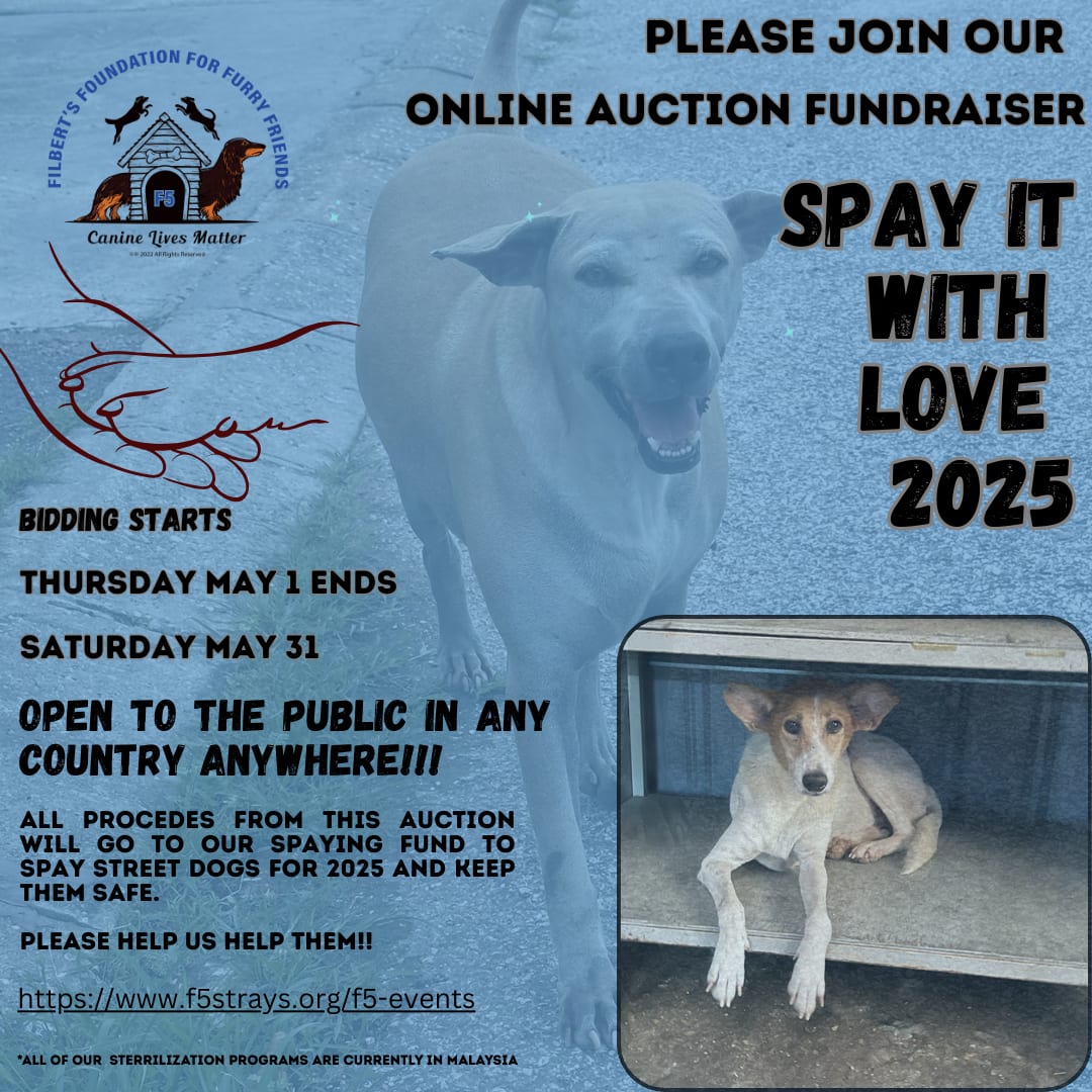 SPAY IT WITH LOVE 2025 ONLINE AUCTION!
