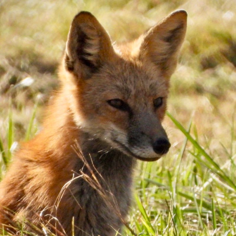 Southwick Land Trust