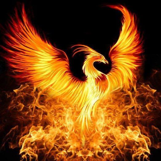 Prajna Fire Inc