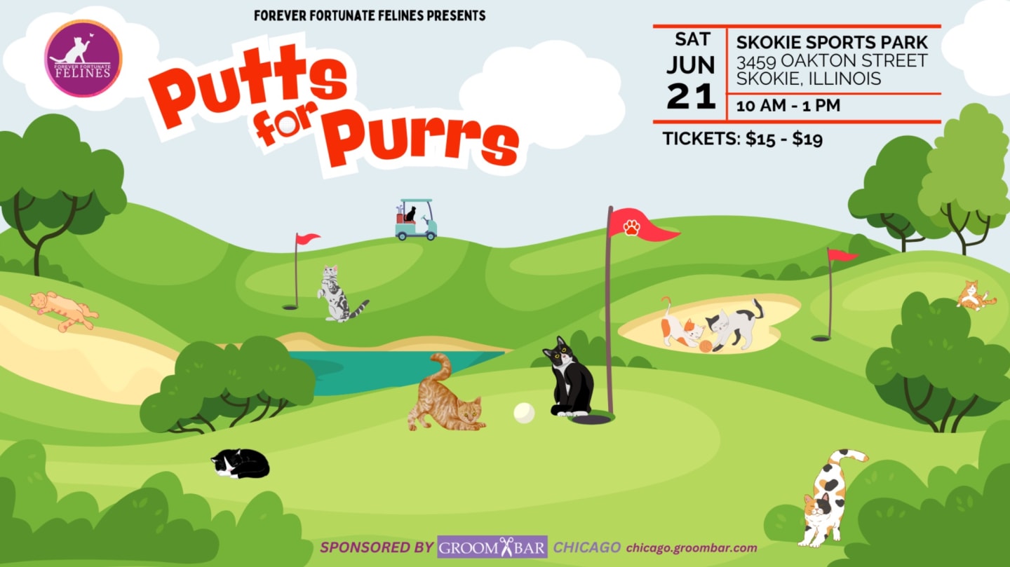 Mini Putt Raffle 2026 Putts For Purrs Mini Golf Fundraiser