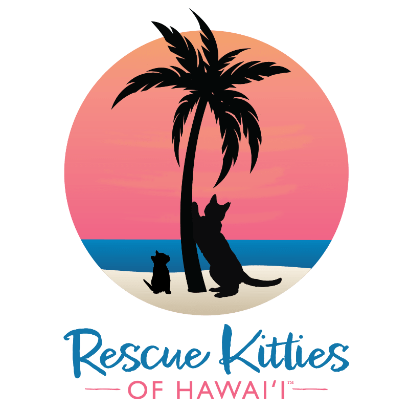 Rescue Kitties Of Hawaii