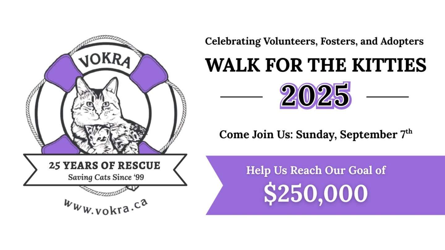 VOKRA's 2025 Walk For The Kitties