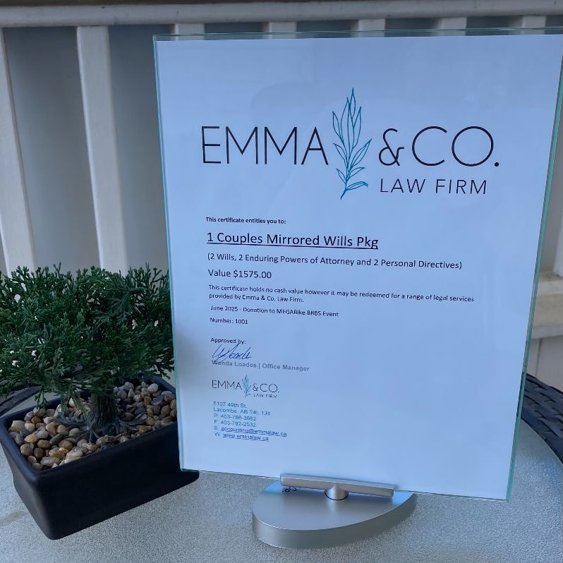 Big Sisters Megabike The Big Bid Big Brothers Big Sisters Lacombe