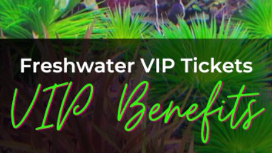 Aquatic Vip Program Sustainable Reef's Aquatic Show Freshwater VIP Ticket