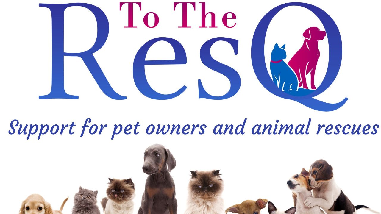 Spay/Neuter Donations