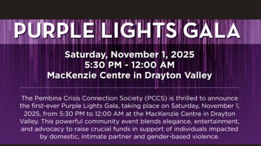 💜💡PCCS Purple Lights Online Auction