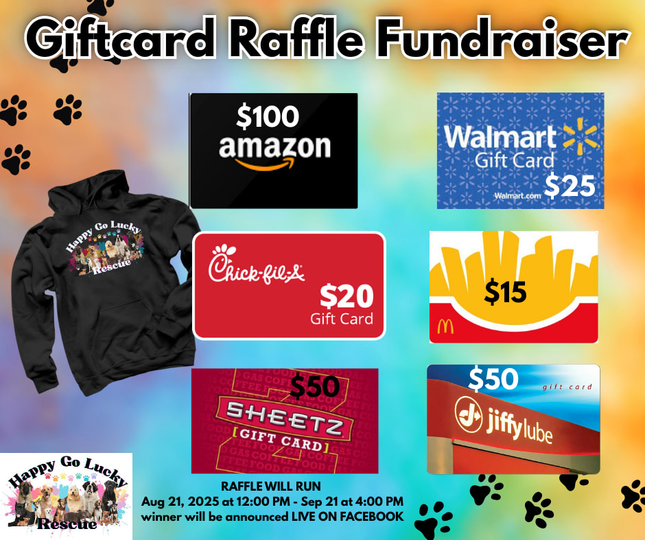 Happy Go Lucky GIFTCARD RAFFLE