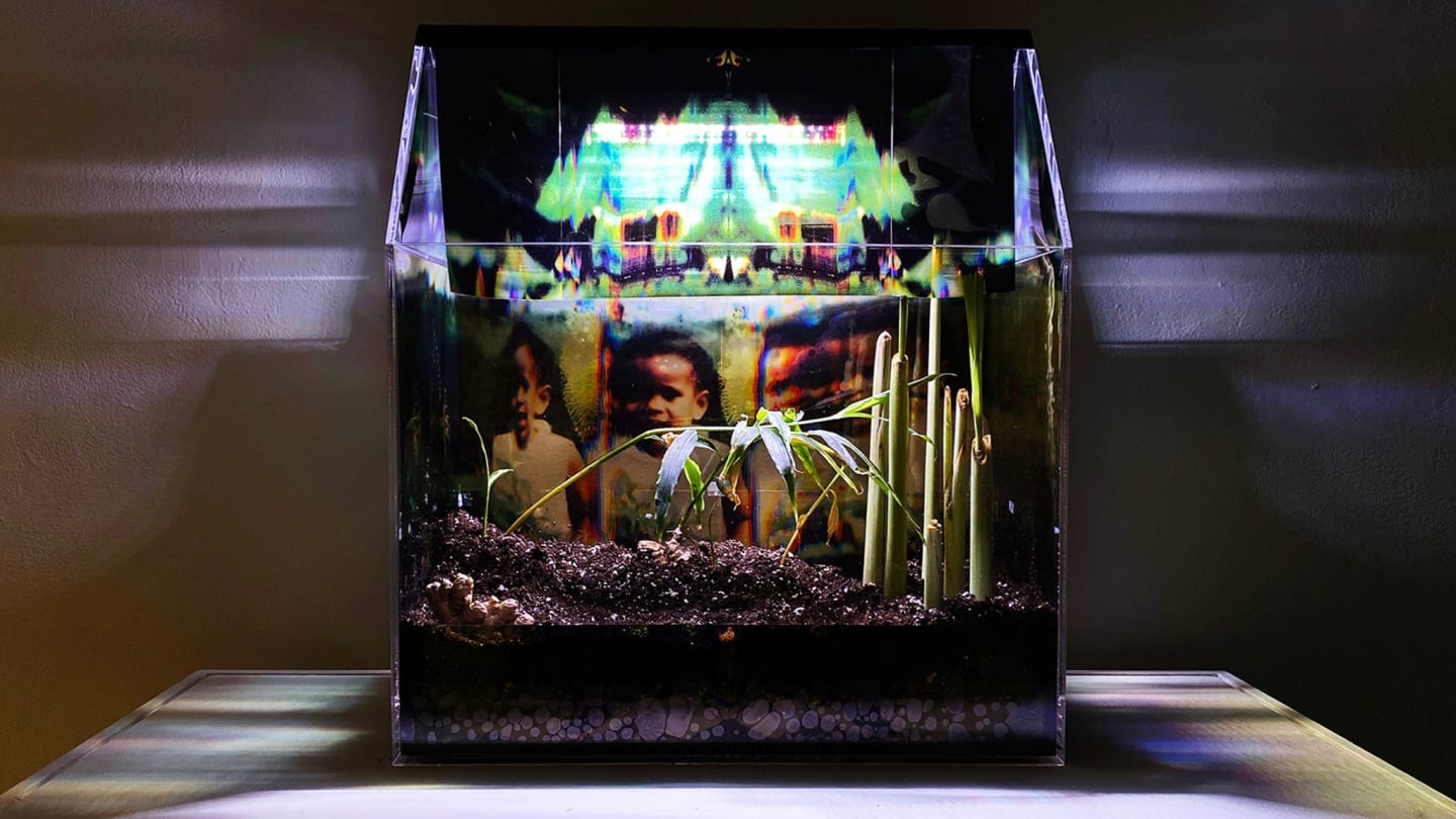Diasporas are the Landscape: Curator Walkthrough