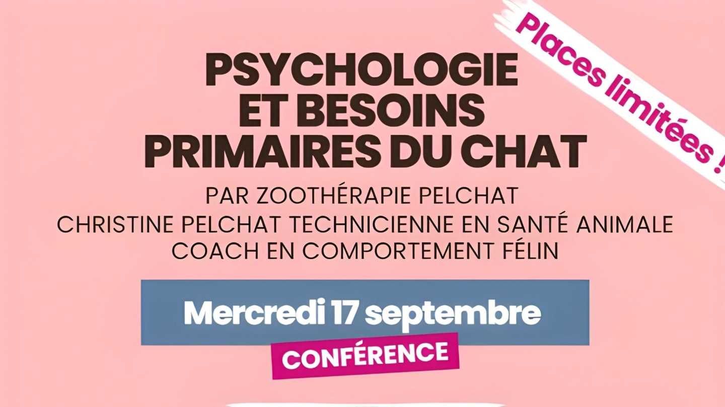 Conférence - Psychologie et besoins primaires du chat