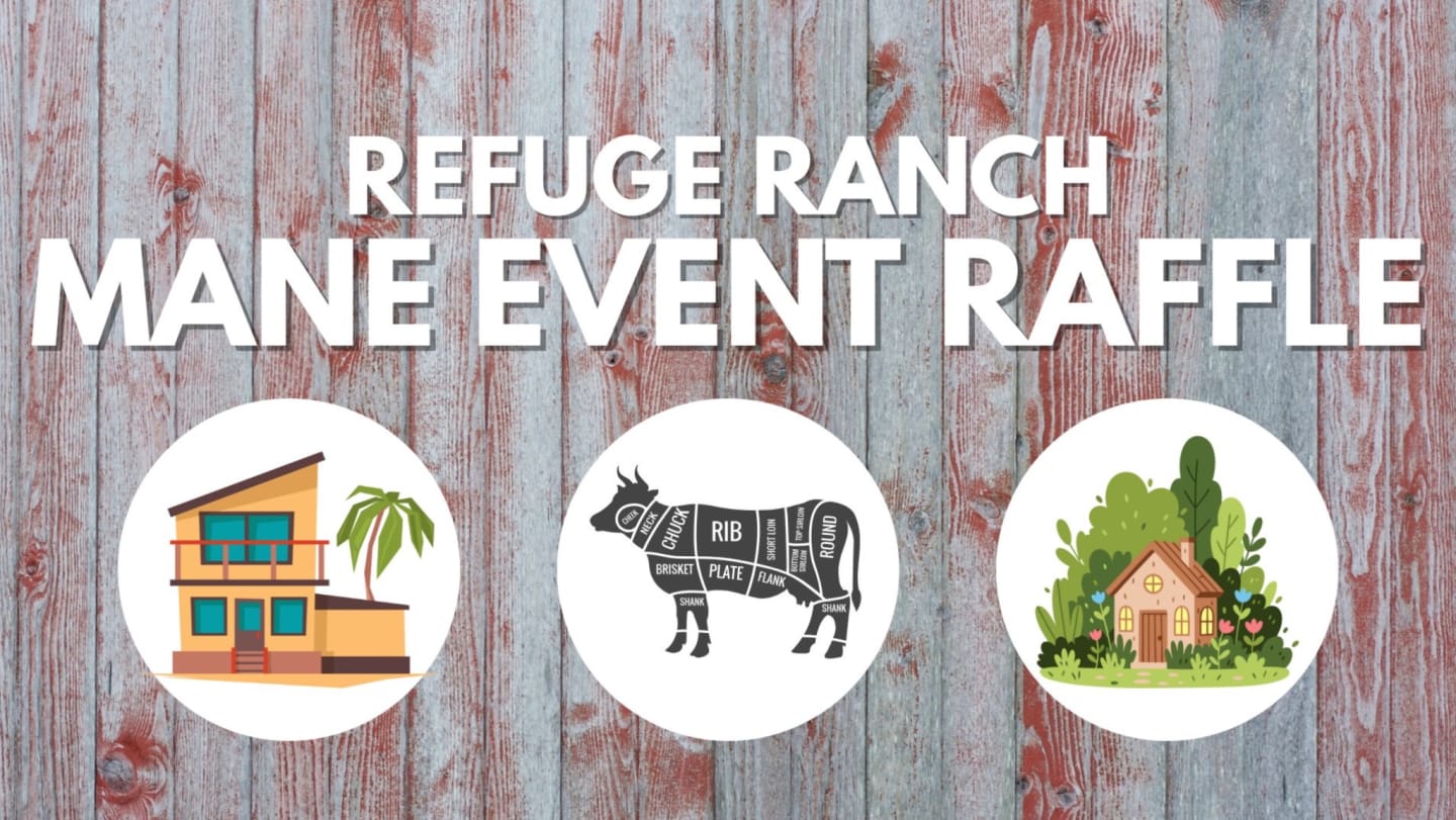 Raffle Ranch Refuge Ranch Raffle - Mane Event