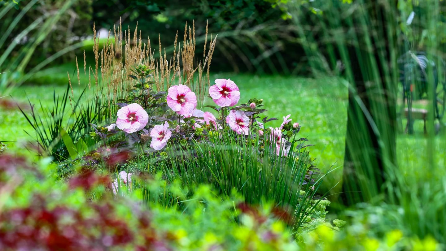 Photography Permits at the Newton Arboretum & Botanical Gardens