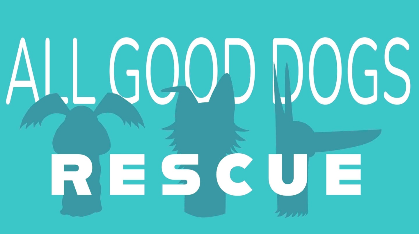 Save All The Dogs Rescue Donate to Save Dogs in North Carolina
