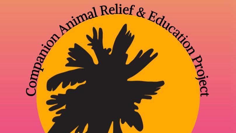 Community Cat Program