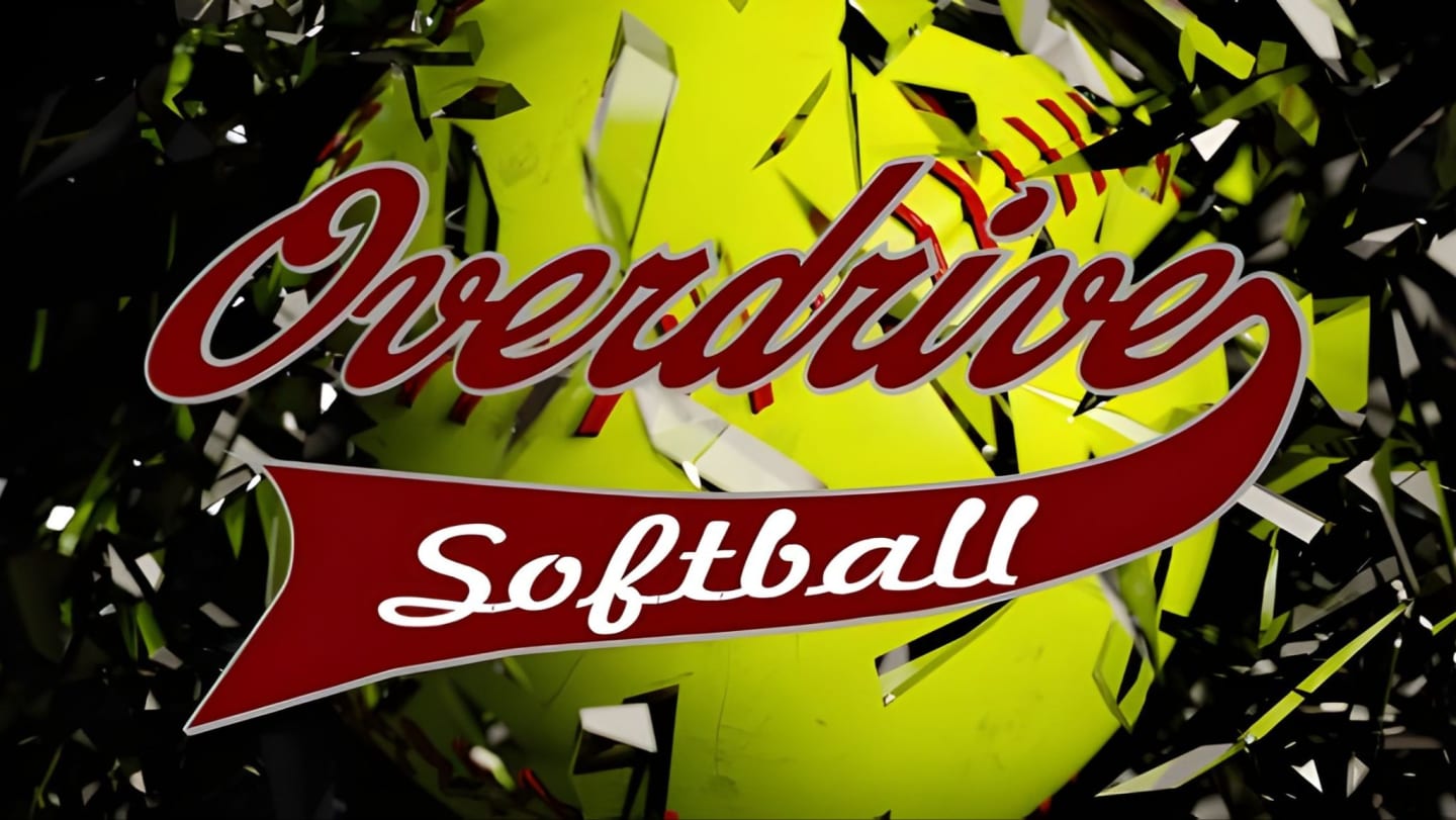 Partner with us through Sponsorship