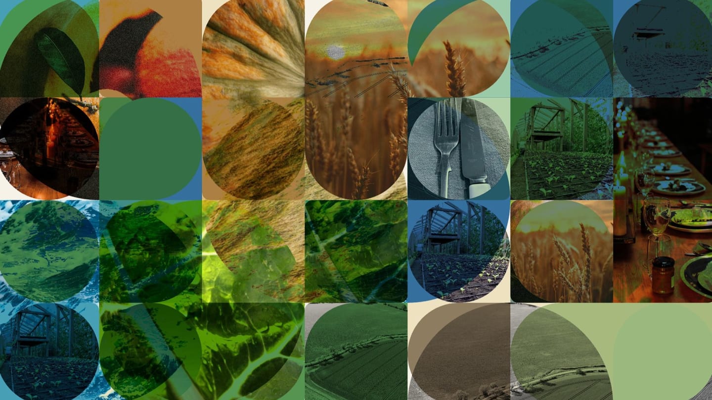 Building community resilience in South Devon