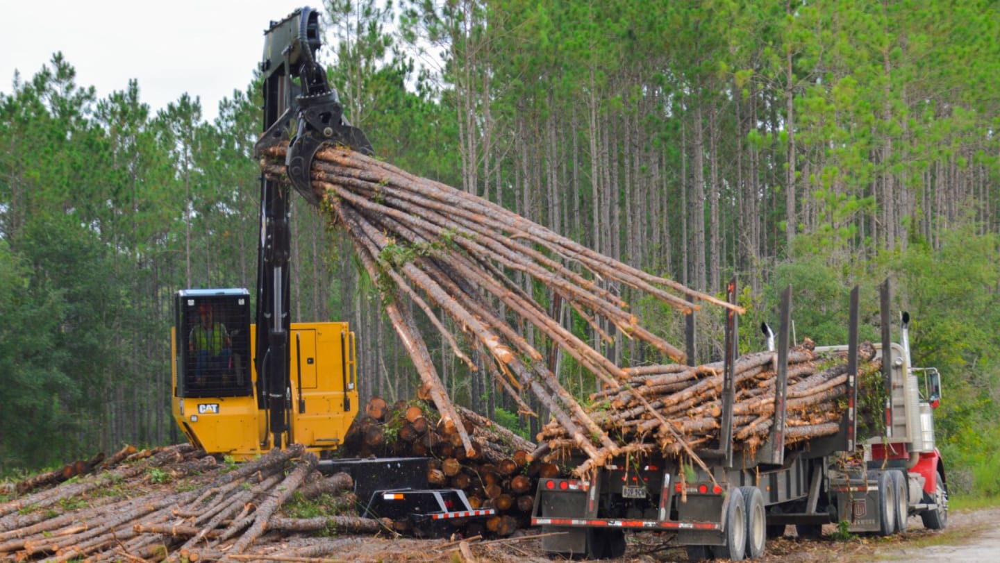 Master Logger Training