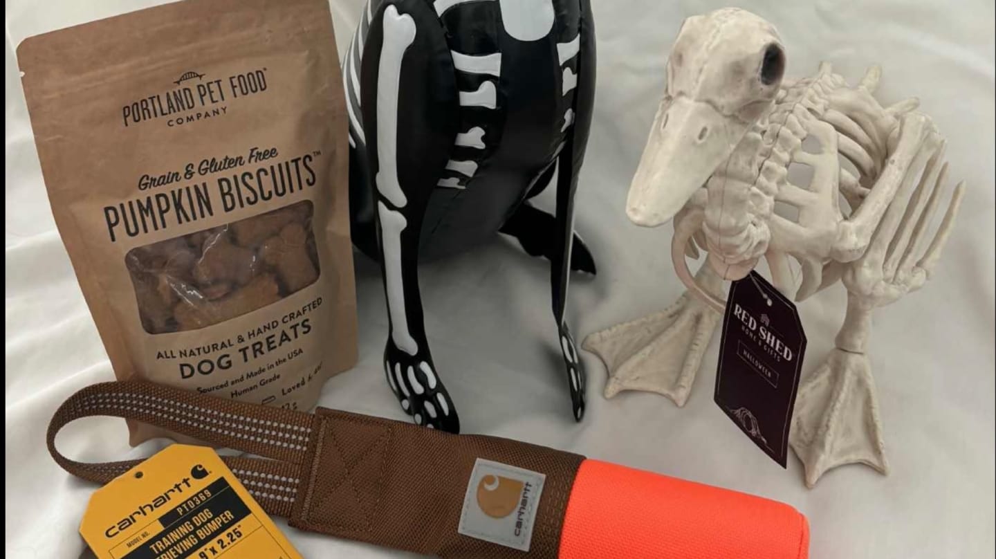 October Popup Funraiser