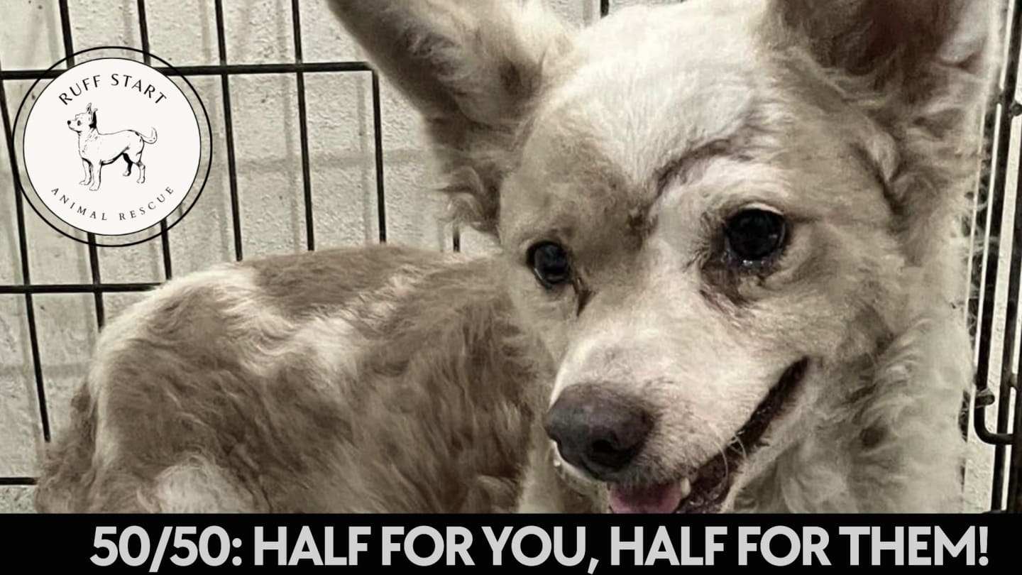 50/50: Half for you, half for them!
