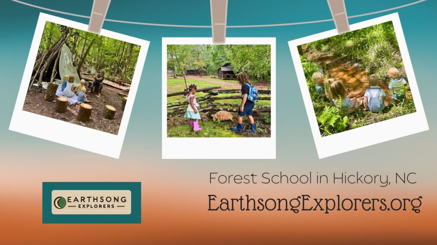 Earthsong Explorers' Forest School Shop