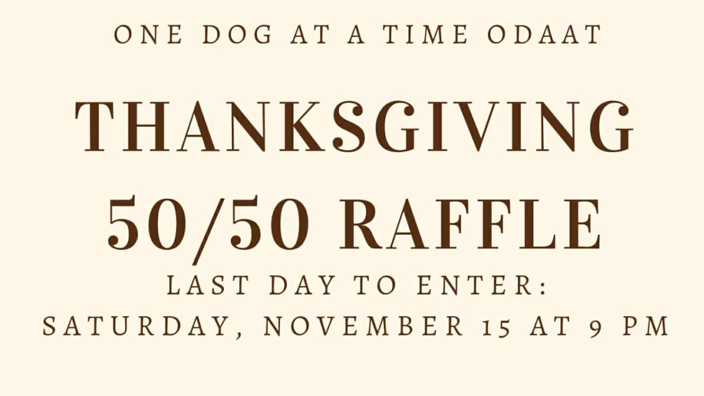 5050 Fall Raffle Thanksgiving 50/50 Raffle