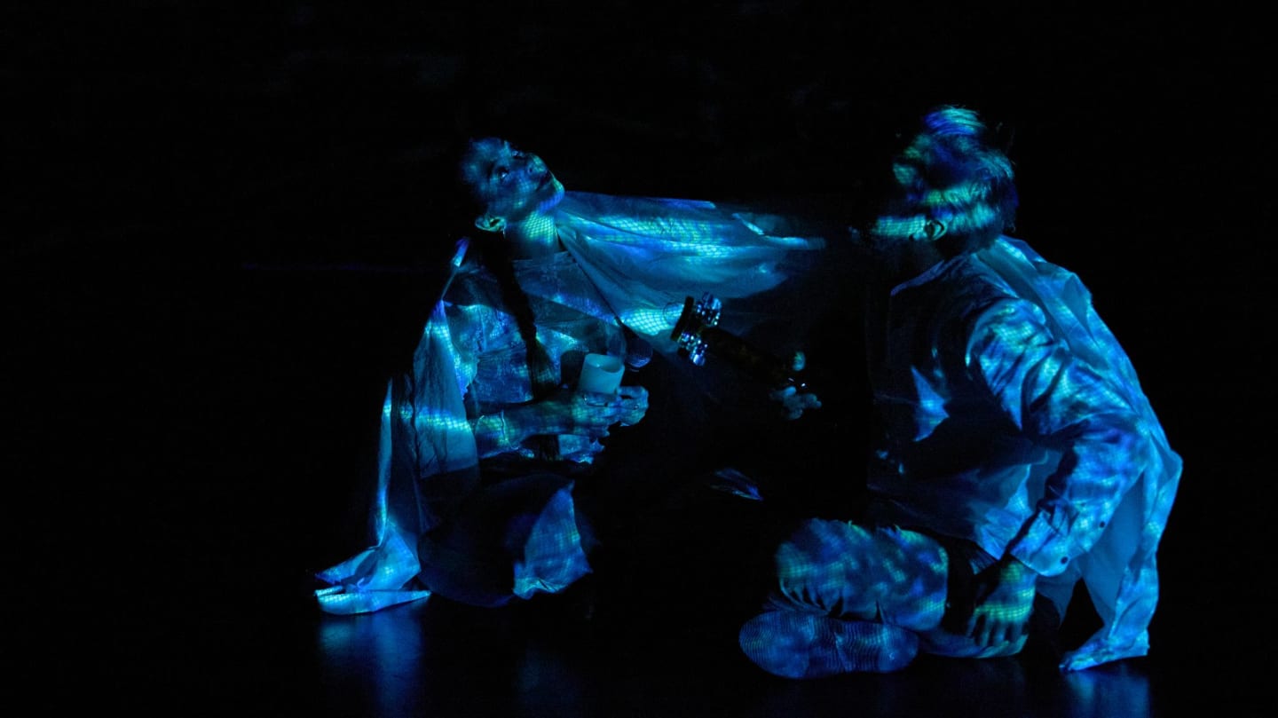 Seeds of Tomorrow: support soma anima arts!