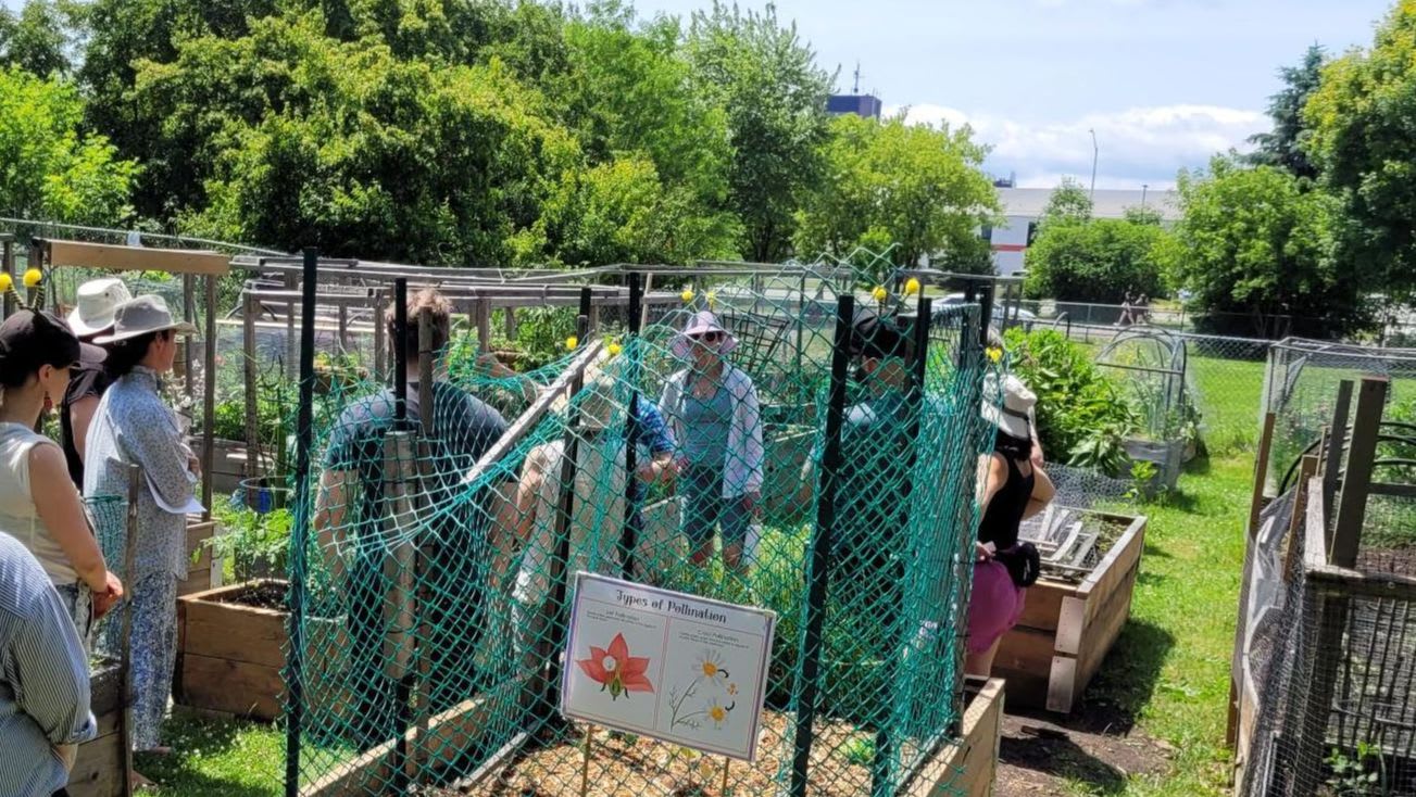 2026 BPCG membership renewal