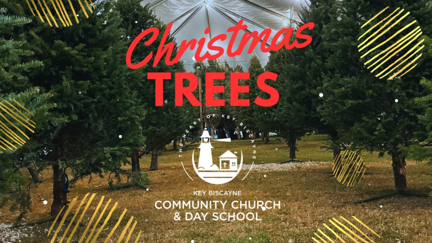 Christmas Tree Orders Now Open!