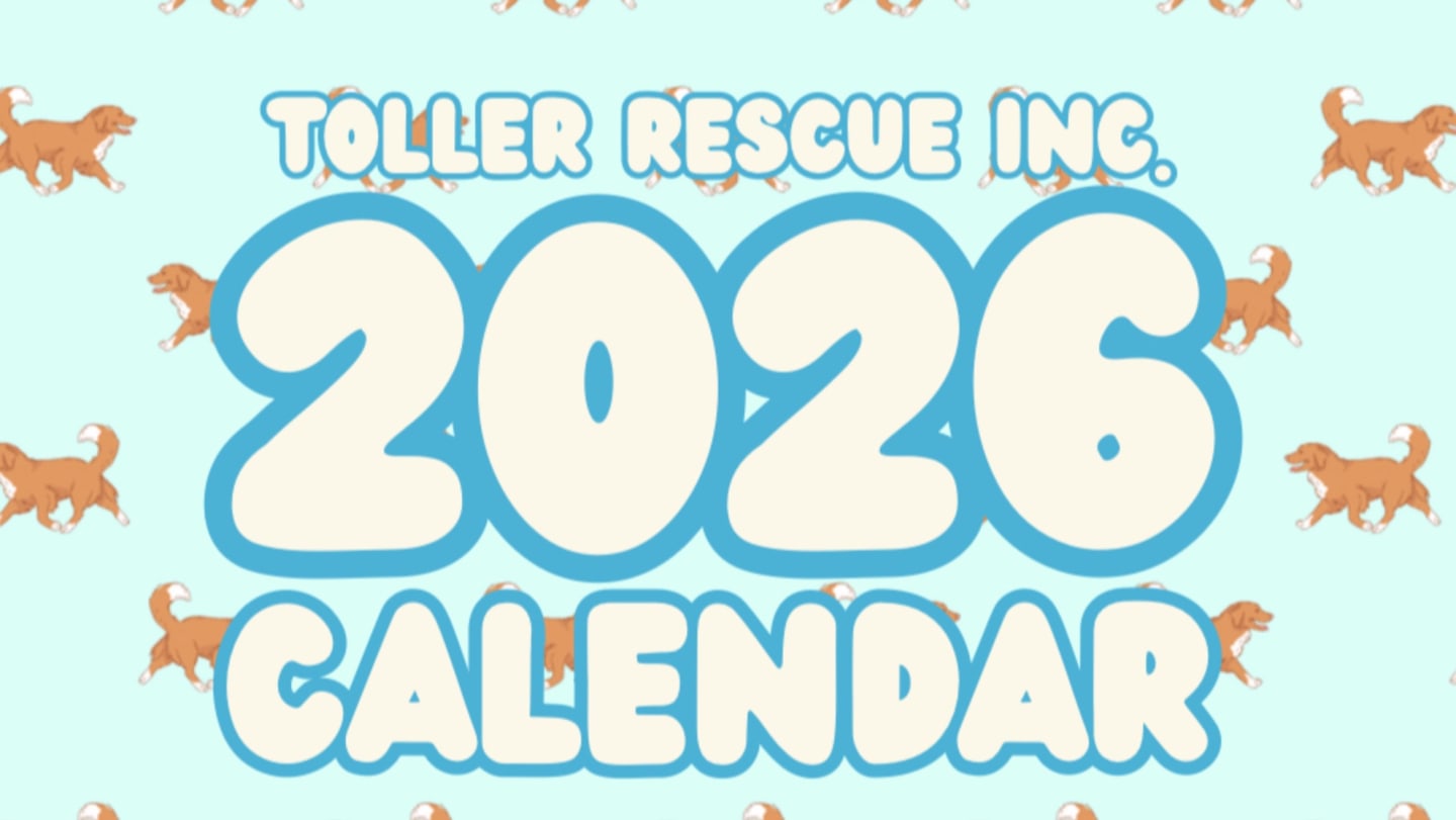 Toller Calendar
