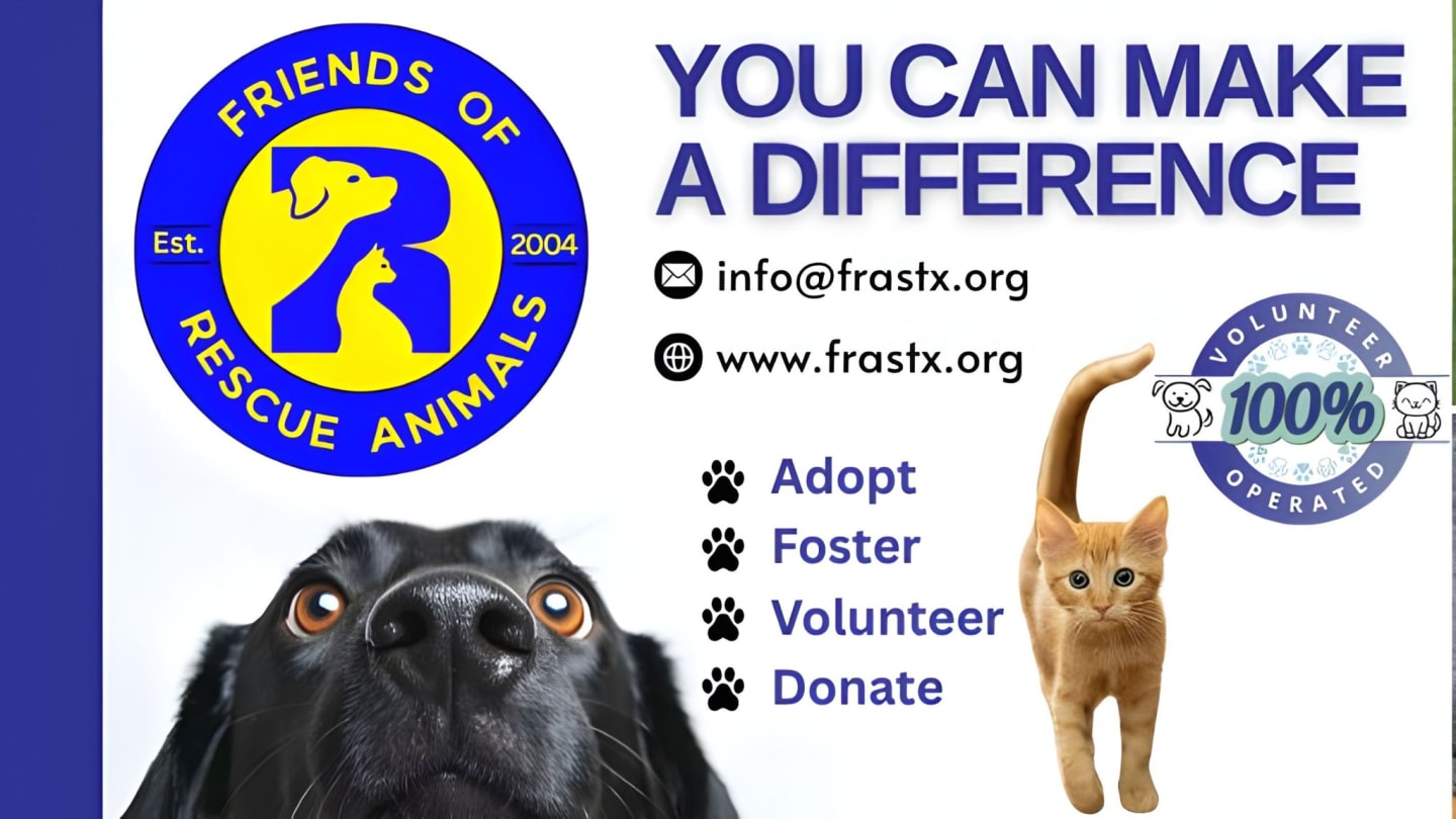 Volunteer Gear