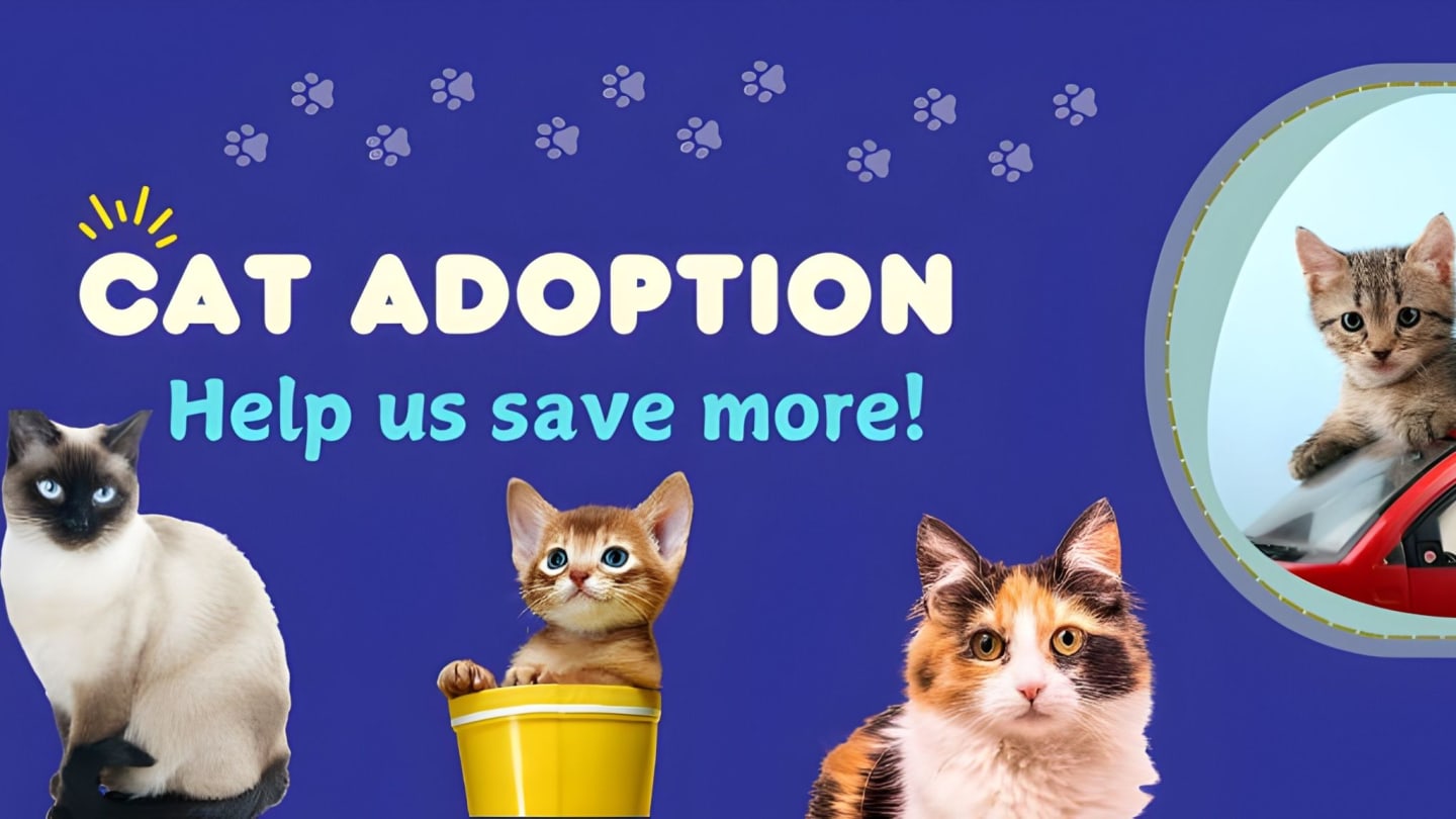 Adoption Fee