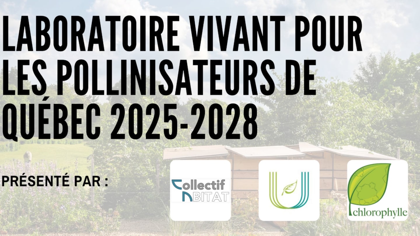 Lab Current Quebec Lab VIVANT Québec | Living LAB