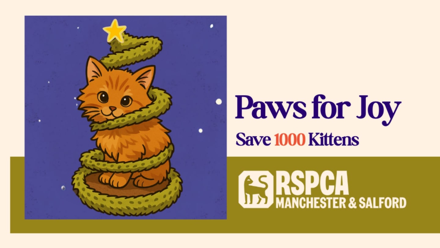 Paws for Joy Auction