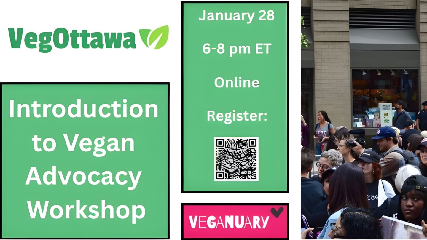 Introduction to Vegan Advocacy Workshop
