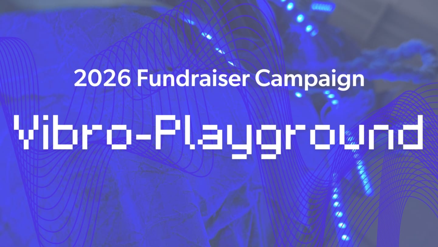 Vibro-Playground Fundraiser Party!