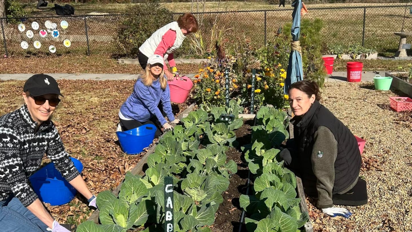 Donate to the Garden to make a difference today!
