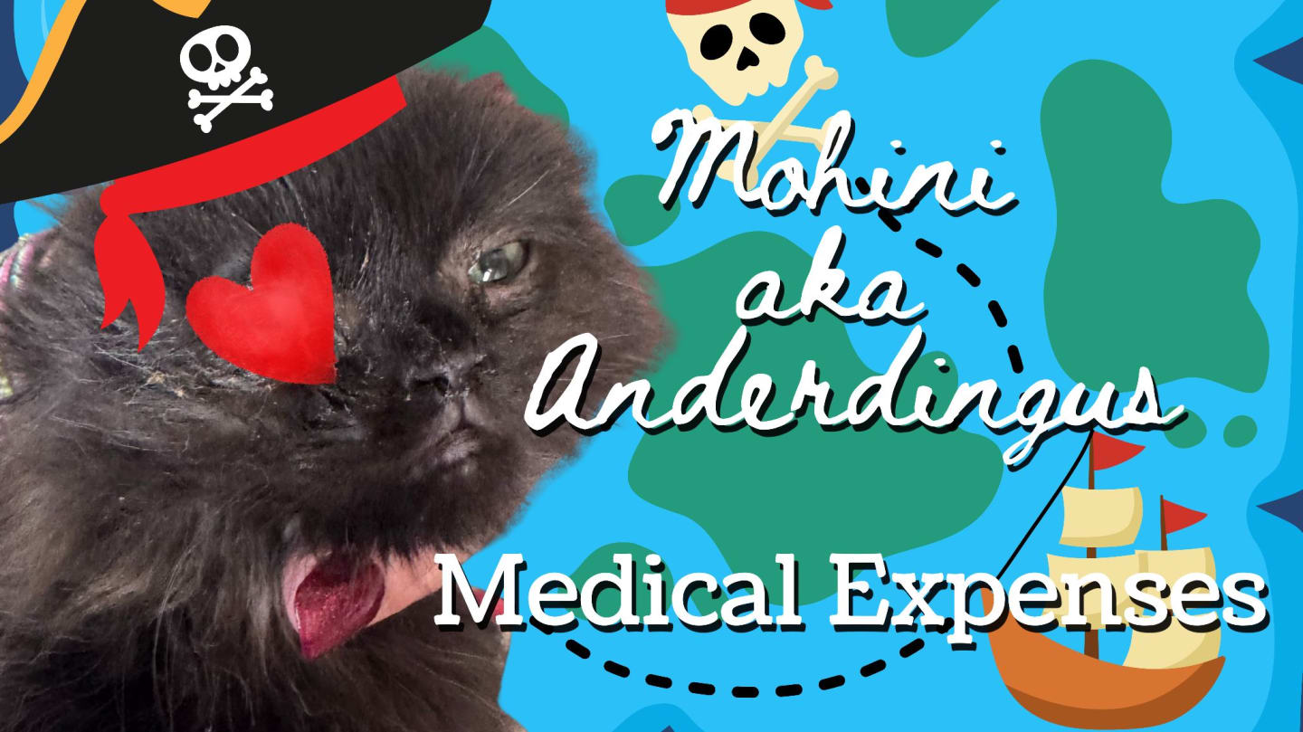 Mohini-Anderdingus Medical Expenses