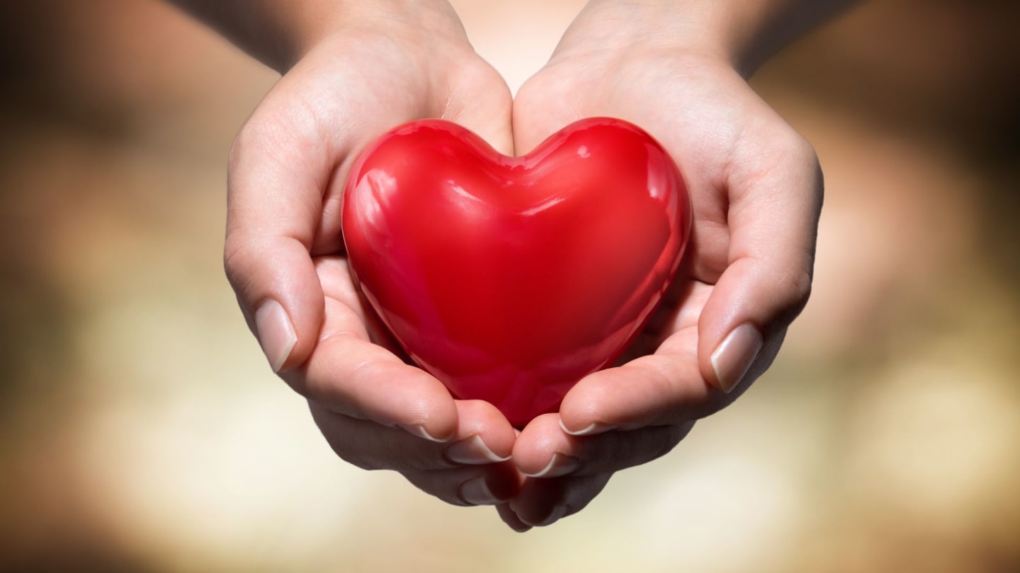 Donate to Make a Difference - The Indigo Phoenix Foundation, Inc REGISTRATION #CH72041.