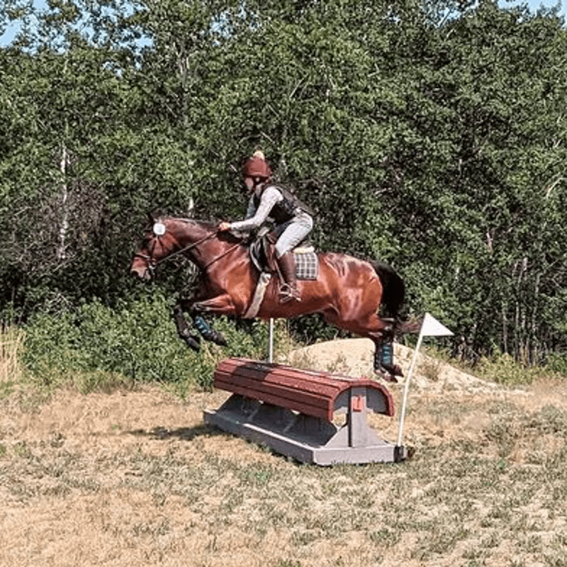 Manitoba Horse Trials Memberships 2026