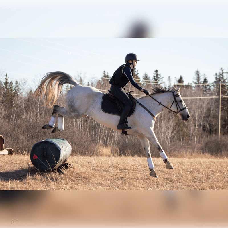 Cross Country Schooling