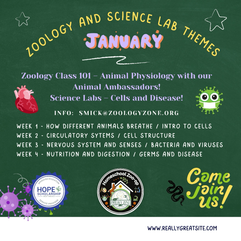 January Experiments January Science Lab