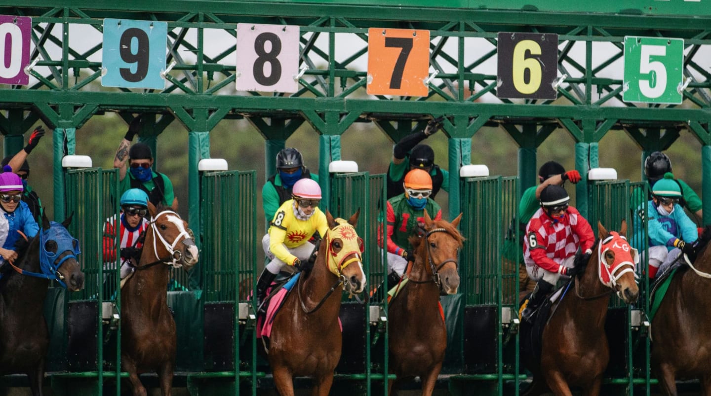 Night at the Races